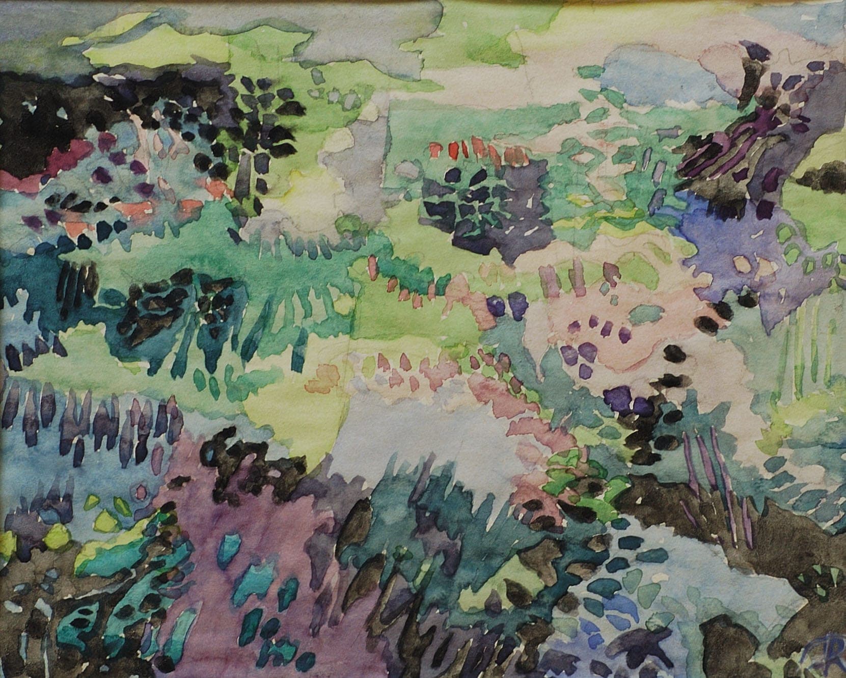 Jardin 5