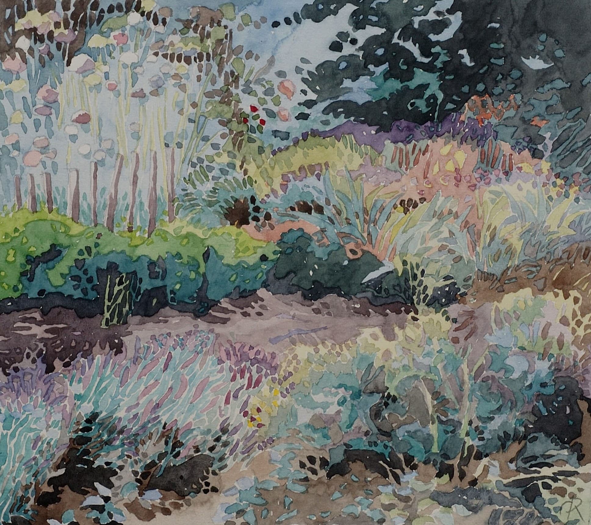 Jardin 7